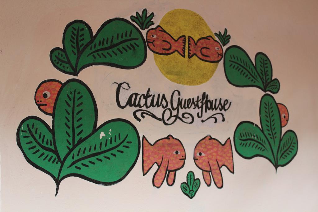 Cactus Guesthouse Arambol Bagian luar foto