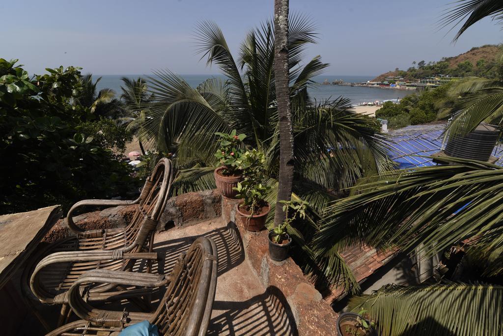 Cactus Guesthouse Arambol Bagian luar foto