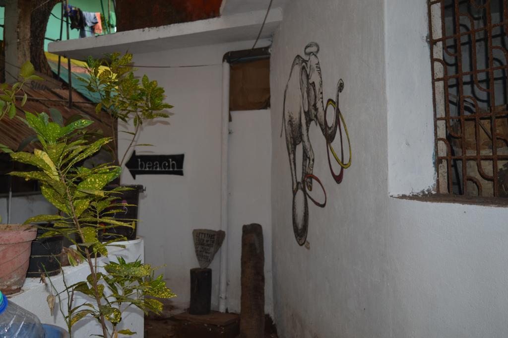 Cactus Guesthouse Arambol Bagian luar foto
