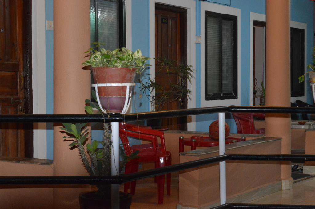 Cactus Guesthouse Arambol Bagian luar foto