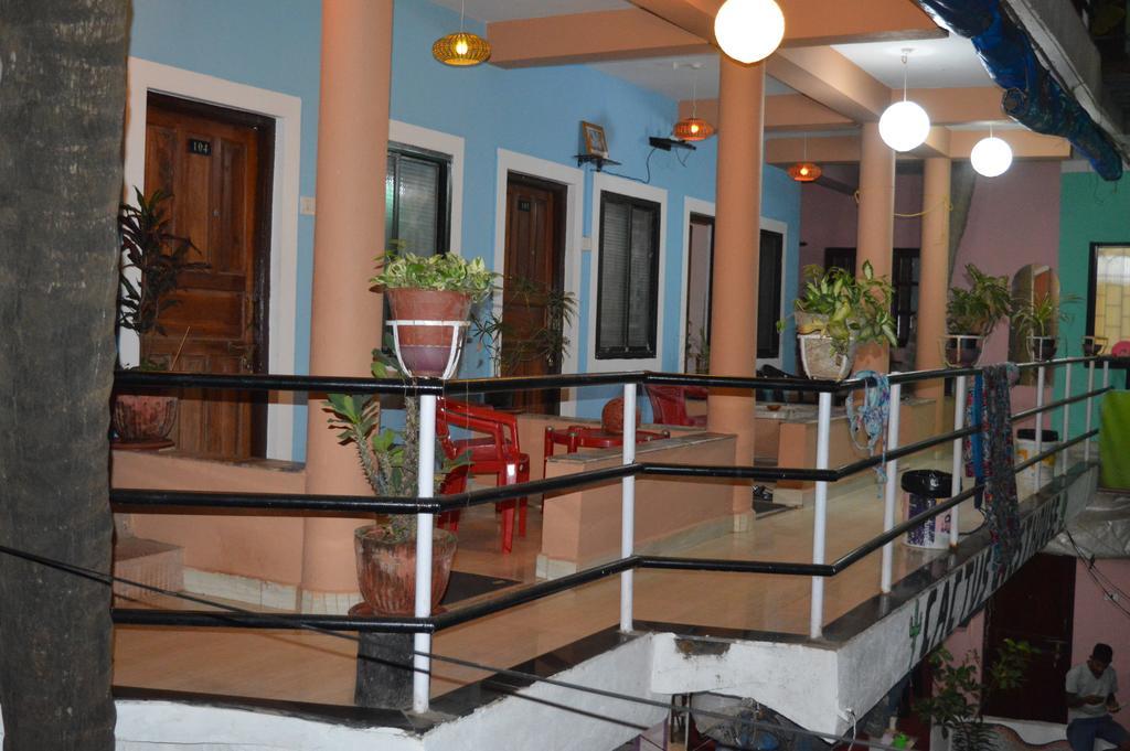 Cactus Guesthouse Arambol Bagian luar foto