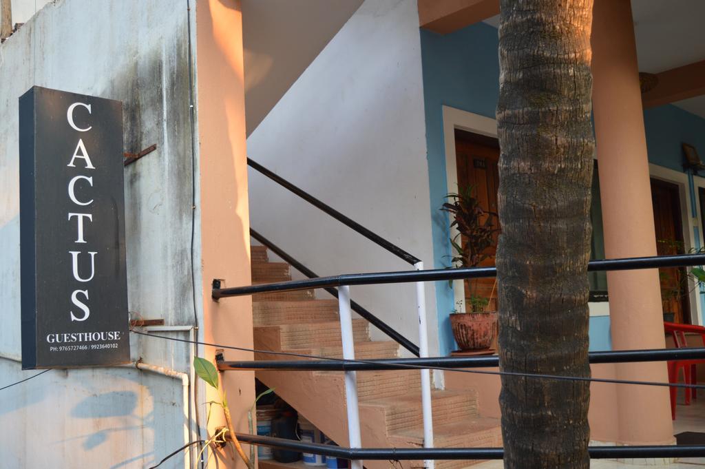Cactus Guesthouse Arambol Bagian luar foto